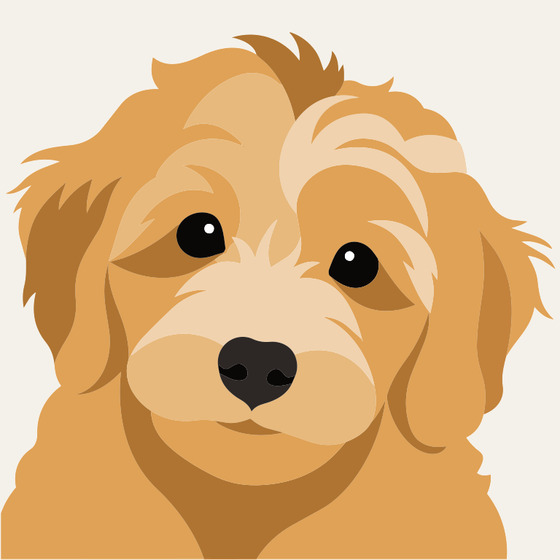 Flat vector artwork of a golden puppy, drawn in a handful of solid colours.