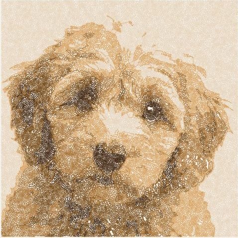 The same photograph rendered as embroidery, built from thousands of small wandering stitches in five thread colours.